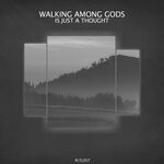 cover: Walking Among Gods - Is Just A Thought