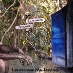 cover: Leuchtend Ma Divine - Strange Caribbean