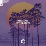 cover: Melosense - Lost In Gruvv (Extended Mix)