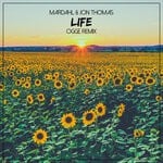 cover: Mardahl & Jon Thomas - Life (Ogge Remix)