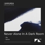 cover: Never Alone In A Dark Room - Sly