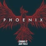 cover: Domy Pirelli - Phoenix