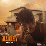 cover: Hxtra Rdi - Jealousy (Reggae)