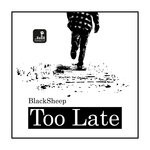 cover: Blacksheep - Too Late (Black Soul Mix)