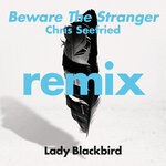 cover: Lady Blackbird|Trombone Shorty - Beware The Stranger (Chris Seefried Remix)