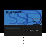 cover: Soulmade (ar) - Perceptual