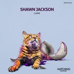 cover: Shawn Jackson - Llave