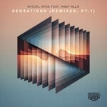 cover: Andy Allo|Miguel Migs - Sensations (Remixes - Part 1)