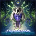 cover: Psychotropists - Shamanic Realms