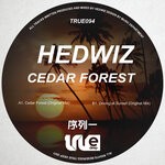 cover: Hadwiz - Cedar Forest