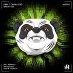 cover: Pablo Caballero - Magnitude