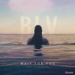 cover: Cardamone - Wait For You