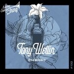 cover: Tony Wellin - Diamond