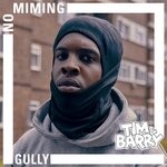 cover: Gully|TIM & BARRY - No Mining