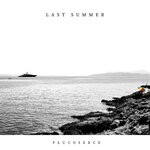 cover: Plucoserce - Last Summer