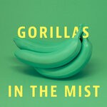 cover: Faunabeats - Gorillas In The Mist