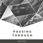 cover: Delgado - Passing Through