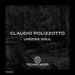 cover: Claudio Polizzotto - Undone Soul