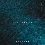 cover: Roudeep - Disappear