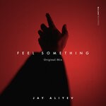 cover: Jay Aliyev - Feel Something