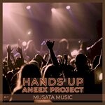 cover: Aneex Project - Hands Up