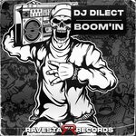 cover: Dj Dilect - Boom'In