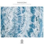 cover: Paravorik - Morning Light / I Know