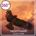 cover: Studio Crime - Nighthawk (Criminal Scene Mix)