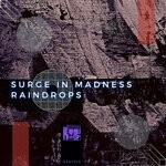 cover: Surge In Madness - Raindrops