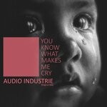 cover: Audio Industrie - You Know What Makes Me Cry