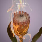 cover: Anderholm - Folding