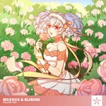 cover: Elision|Mg5902 - Follow You