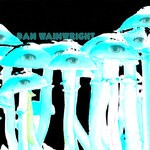 cover: Dan Wainwright - The Universal Energy Within