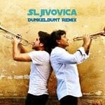 cover: Boban I Marko Markovic Orkestar - Sljivocica ([Dunkelbunt] Remixes)