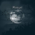 cover: Coffe Lofi - Moonlight