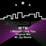 cover: Mitm - I Wanna Love You