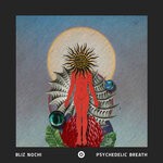 cover: Bliz Nochi - Psychedelic Breath