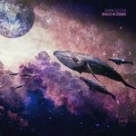 cover: Dominik Saltevski - Whales In Cosmos