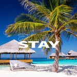 cover: Damian Breath - Stay