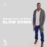 cover: Lee Wilson - Slow Down