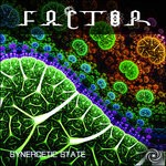 cover: Factor - Synergetic State