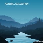 cover: Various - Natural Collection