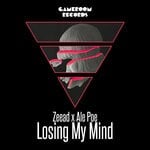 cover: Ale Poe|Zeead - Losing My Mind