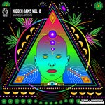 cover: Various - Hidden Jams Vol 8