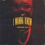 cover: Nathan Ali - I Wanna Know (Explicit)