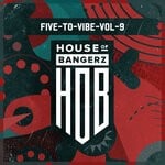 cover: Various - Five To Vibe To Vol 9