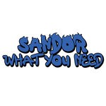 cover: Sandor - What You Need