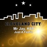 cover: Mr Jay|K69 - Just A Feelin