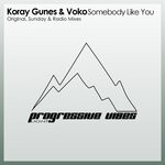 cover: Koray Gunes|Voko - Somebody Like You