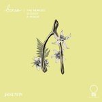 cover: Jacklndn - Bones